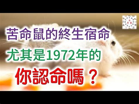 1972屬什麼|【1972 生肖】「1972年生肖屬鼠：未來命運與運勢大解析」